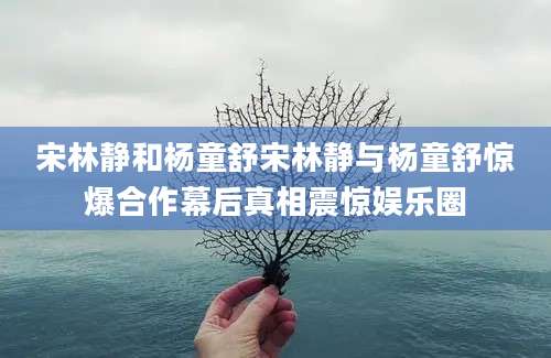 宋林静和杨童舒宋林静与杨童舒惊爆合作幕后真相震惊娱乐圈