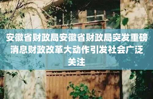 安徽省财政局安徽省财政局突发重磅消息财政改革大动作引发社会广泛关注
