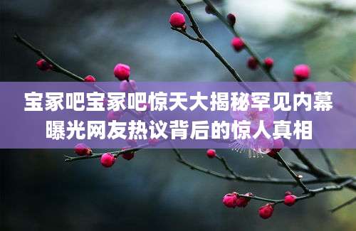宝冢吧宝冢吧惊天大揭秘罕见内幕曝光网友热议背后的惊人真相