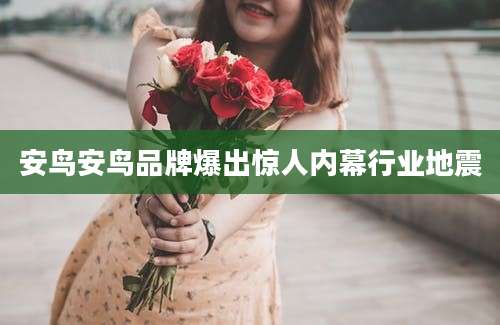 安鸟安鸟品牌爆出惊人内幕行业地震
