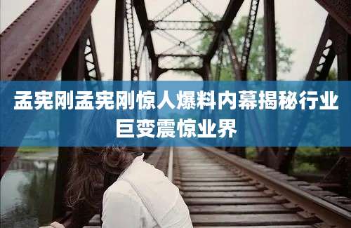 孟宪刚孟宪刚惊人爆料内幕揭秘行业巨变震惊业界