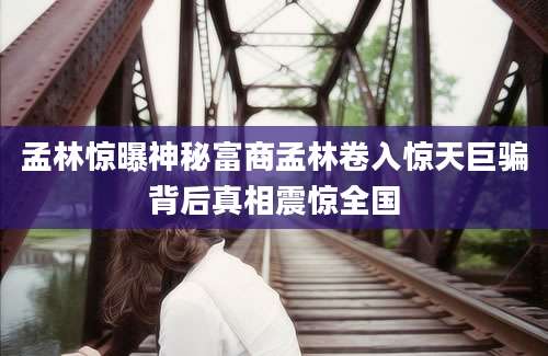 孟林惊曝神秘富商孟林卷入惊天巨骗背后真相震惊全国
