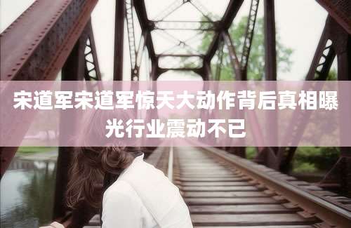宋道军宋道军惊天大动作背后真相曝光行业震动不已