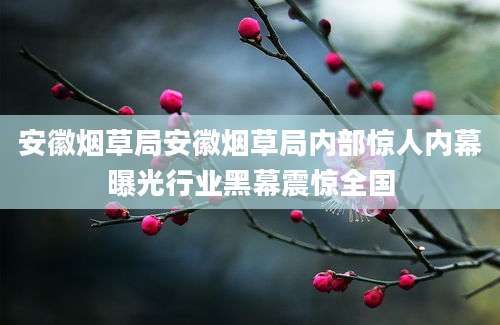 安徽烟草局安徽烟草局内部惊人内幕曝光行业黑幕震惊全国
