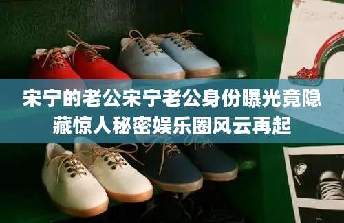 宋宁的老公宋宁老公身份曝光竟隐藏惊人秘密娱乐圈风云再起