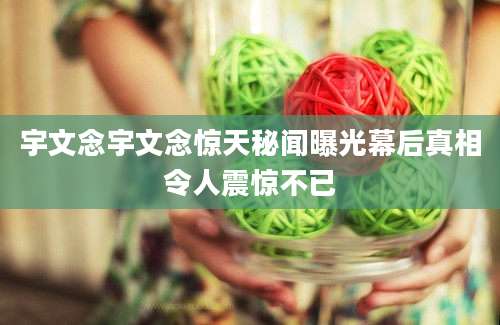 宇文念宇文念惊天秘闻曝光幕后真相令人震惊不已