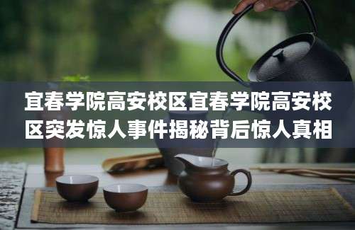 宜春学院高安校区宜春学院高安校区突发惊人事件揭秘背后惊人真相
