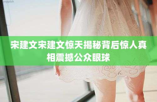 宋建文宋建文惊天揭秘背后惊人真相震撼公众眼球