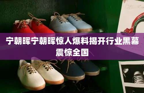 宁朝晖宁朝晖惊人爆料揭开行业黑幕震惊全国