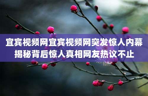 宜宾视频网宜宾视频网突发惊人内幕揭秘背后惊人真相网友热议不止