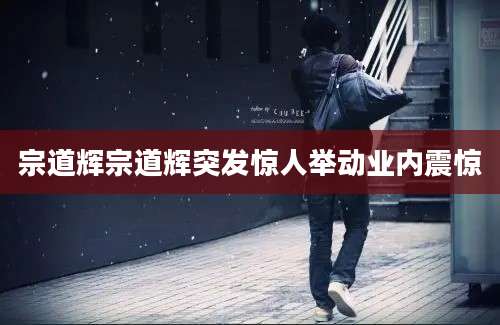 宗道辉宗道辉突发惊人举动业内震惊