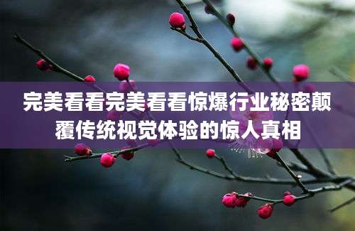 完美看看完美看看惊爆行业秘密颠覆传统视觉体验的惊人真相