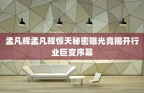 孟凡辉孟凡辉惊天秘密曝光竟揭开行业巨变序幕