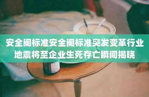 安全阀标准安全阀标准突发变革行业地震将至企业生死存亡瞬间揭晓