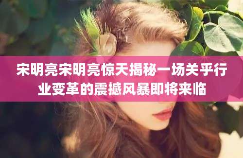 宋明亮宋明亮惊天揭秘一场关乎行业变革的震撼风暴即将来临