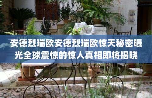 安德烈瑞欧安德烈瑞欧惊天秘密曝光全球震惊的惊人真相即将揭晓