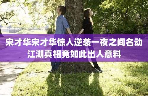 宋才华宋才华惊人逆袭一夜之间名动江湖真相竟如此出人意料