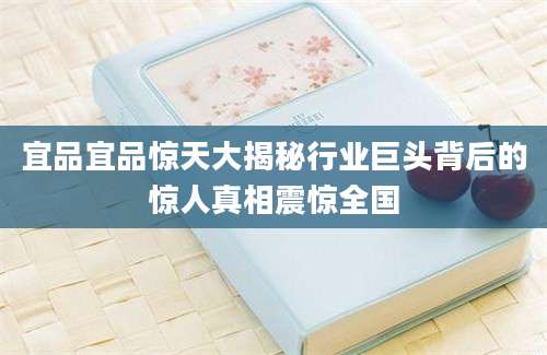 宜品宜品惊天大揭秘行业巨头背后的惊人真相震惊全国