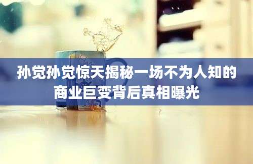 孙觉孙觉惊天揭秘一场不为人知的商业巨变背后真相曝光
