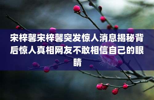 宋梓馨宋梓馨突发惊人消息揭秘背后惊人真相网友不敢相信自己的眼睛