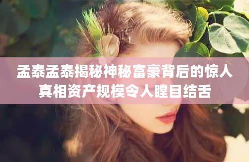 孟泰孟泰揭秘神秘富豪背后的惊人真相资产规模令人瞠目结舌