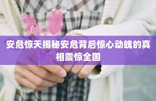 安危惊天揭秘安危背后惊心动魄的真相震惊全国