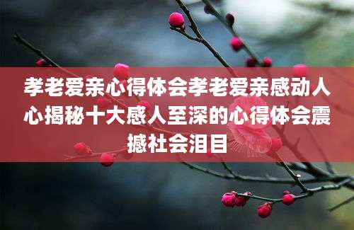 孝老爱亲心得体会孝老爱亲感动人心揭秘十大感人至深的心得体会震撼社会泪目