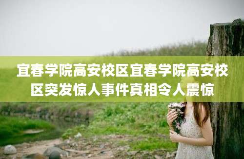 宜春学院高安校区宜春学院高安校区突发惊人事件真相令人震惊