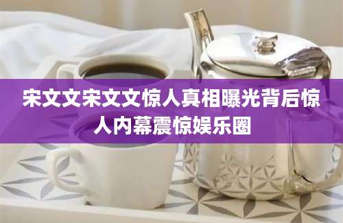 宋文文宋文文惊人真相曝光背后惊人内幕震惊娱乐圈