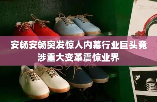安畅安畅突发惊人内幕行业巨头竟涉重大变革震惊业界