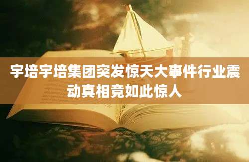 宇培宇培集团突发惊天大事件行业震动真相竟如此惊人