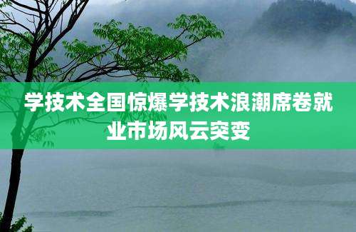 学技术全国惊爆学技术浪潮席卷就业市场风云突变