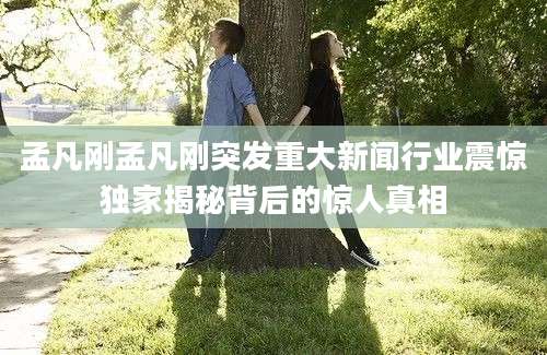 孟凡刚孟凡刚突发重大新闻行业震惊独家揭秘背后的惊人真相
