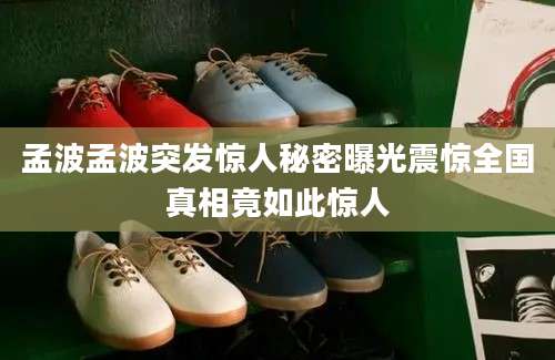 孟波孟波突发惊人秘密曝光震惊全国真相竟如此惊人