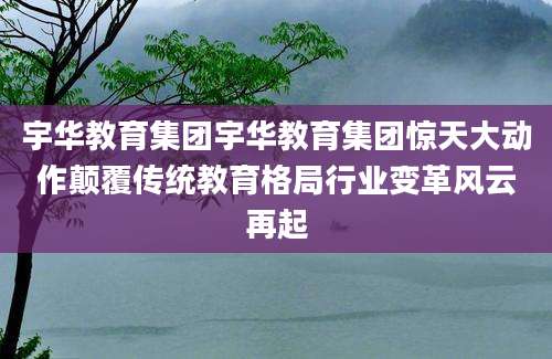 宇华教育集团宇华教育集团惊天大动作颠覆传统教育格局行业变革风云再起