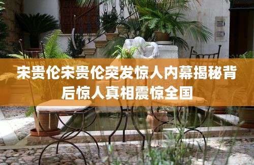 宋贵伦宋贵伦突发惊人内幕揭秘背后惊人真相震惊全国
