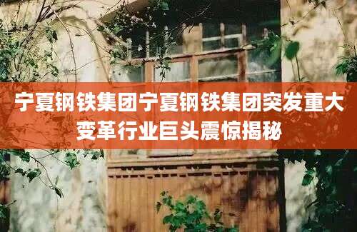 宁夏钢铁集团宁夏钢铁集团突发重大变革行业巨头震惊揭秘