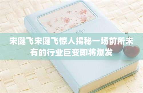 宋健飞宋健飞惊人揭秘一场前所未有的行业巨变即将爆发