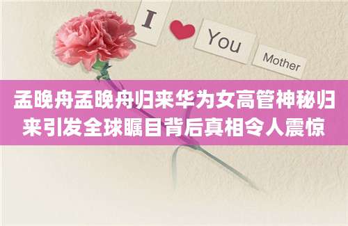 孟晚舟孟晚舟归来华为女高管神秘归来引发全球瞩目背后真相令人震惊