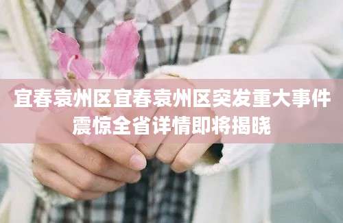 宜春袁州区宜春袁州区突发重大事件震惊全省详情即将揭晓