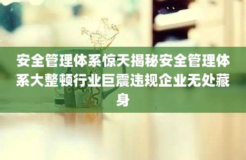 安全管理体系惊天揭秘安全管理体系大整顿行业巨震违规企业无处藏身