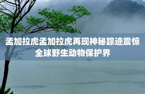 孟加拉虎孟加拉虎再现神秘踪迹震惊全球野生动物保护界