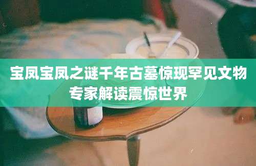 宝凤宝凤之谜千年古墓惊现罕见文物专家解读震惊世界