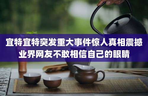 宜特宜特突发重大事件惊人真相震撼业界网友不敢相信自己的眼睛