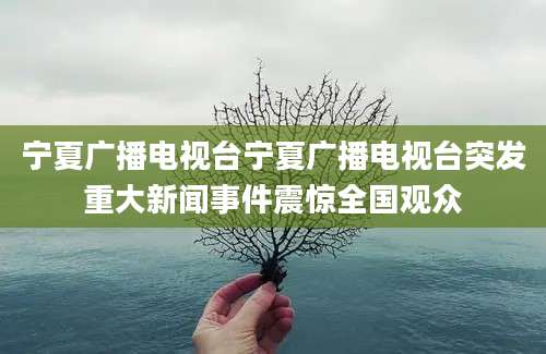 宁夏广播电视台宁夏广播电视台突发重大新闻事件震惊全国观众