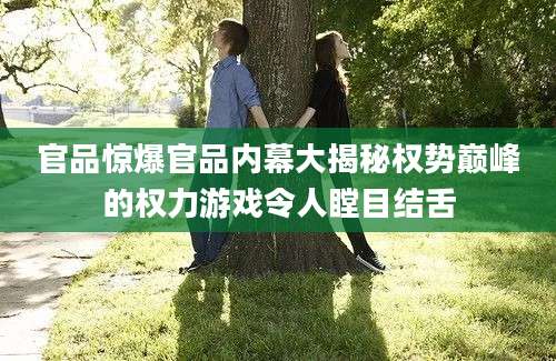 官品惊爆官品内幕大揭秘权势巅峰的权力游戏令人瞠目结舌