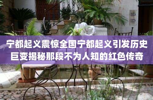宁都起义震惊全国宁都起义引发历史巨变揭秘那段不为人知的红色传奇
