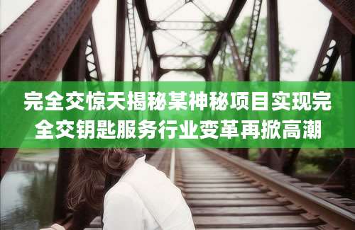完全交惊天揭秘某神秘项目实现完全交钥匙服务行业变革再掀高潮