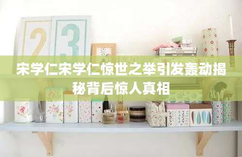 宋学仁宋学仁惊世之举引发轰动揭秘背后惊人真相