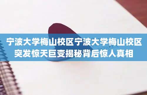 宁波大学梅山校区宁波大学梅山校区突发惊天巨变揭秘背后惊人真相